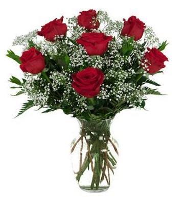 7 Red Roses
