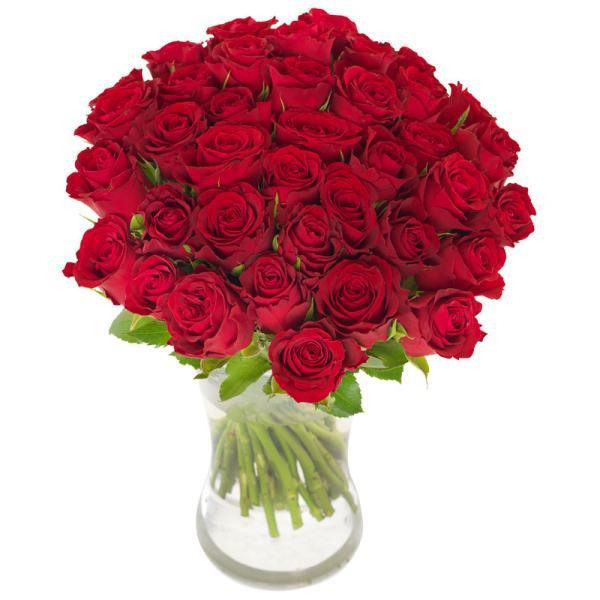 40 love Roses